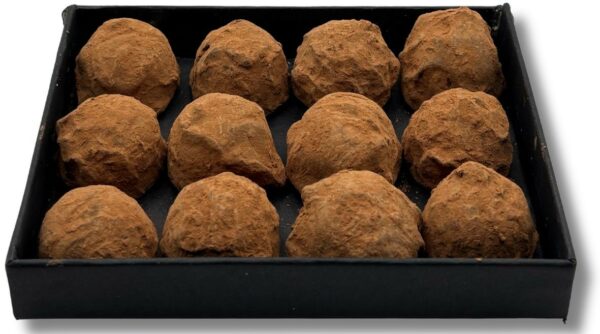 Coffret de 12 truffes fantaisies