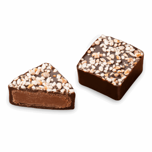 bonbon au chocolat noir et éclats de sarrasin caramélisé
