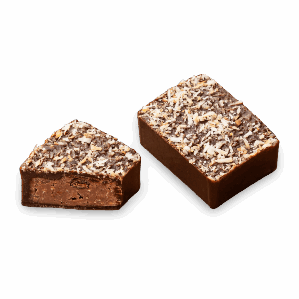 bonbon chocolat noir à la noix de coco torréfiée