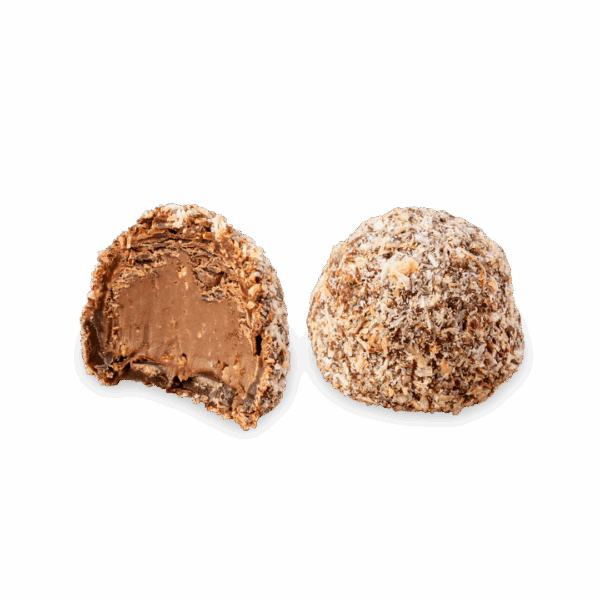 rocher chocolat à la noix de coco torréfiée